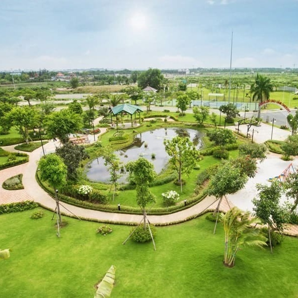 Lợi Ích Và Bí Quyết Chăm Sóc Cây Xanh Tại Nhà Và Văn Phòng - EN