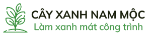Nam Moc Green Tree Company Limited