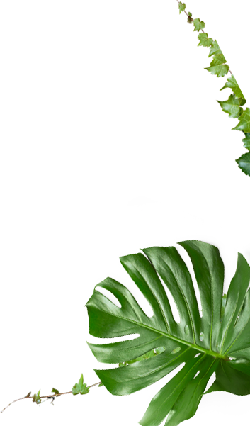 Nam Moc Green Tree - Cooling the construction